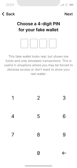 PIN entry screen for a wallet with dummy data